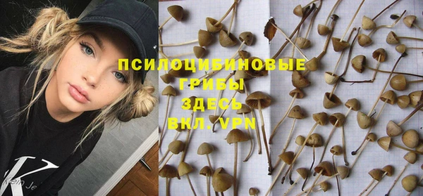 дживик Михайлов
