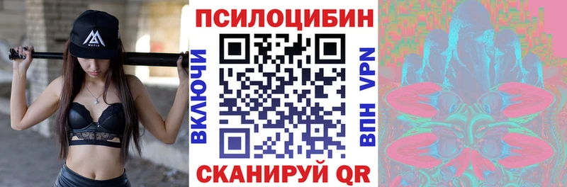 Псилоцибиновые грибы MAGIC MUSHROOMS  shop состав  Новоузенск 