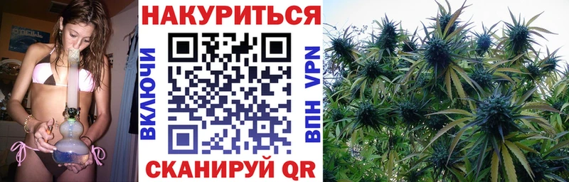 закладки  Новоузенск  Каннабис THC 21% 